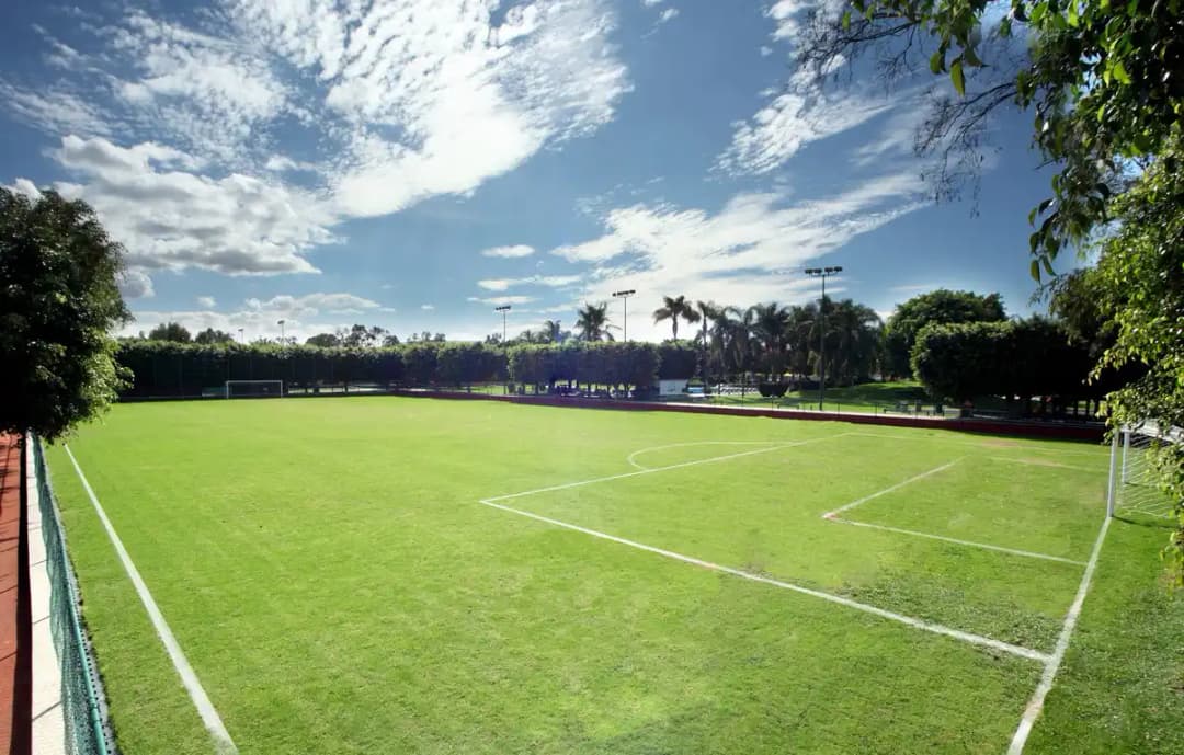 Fútbol