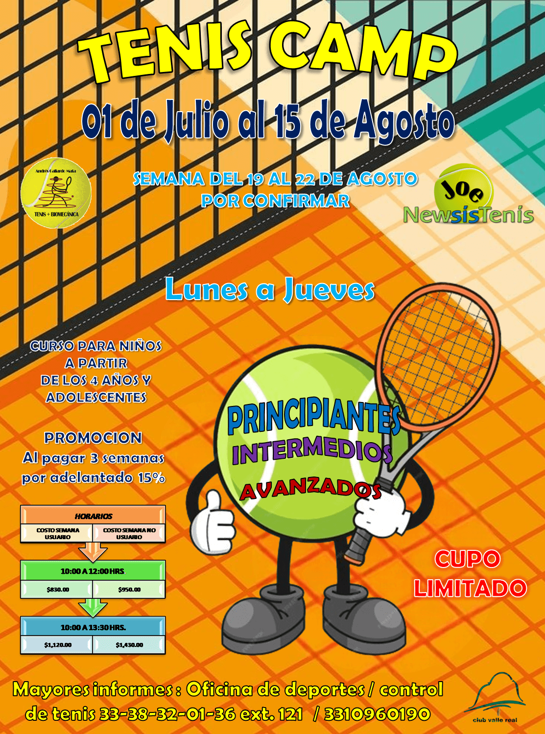 Cursos de Verano